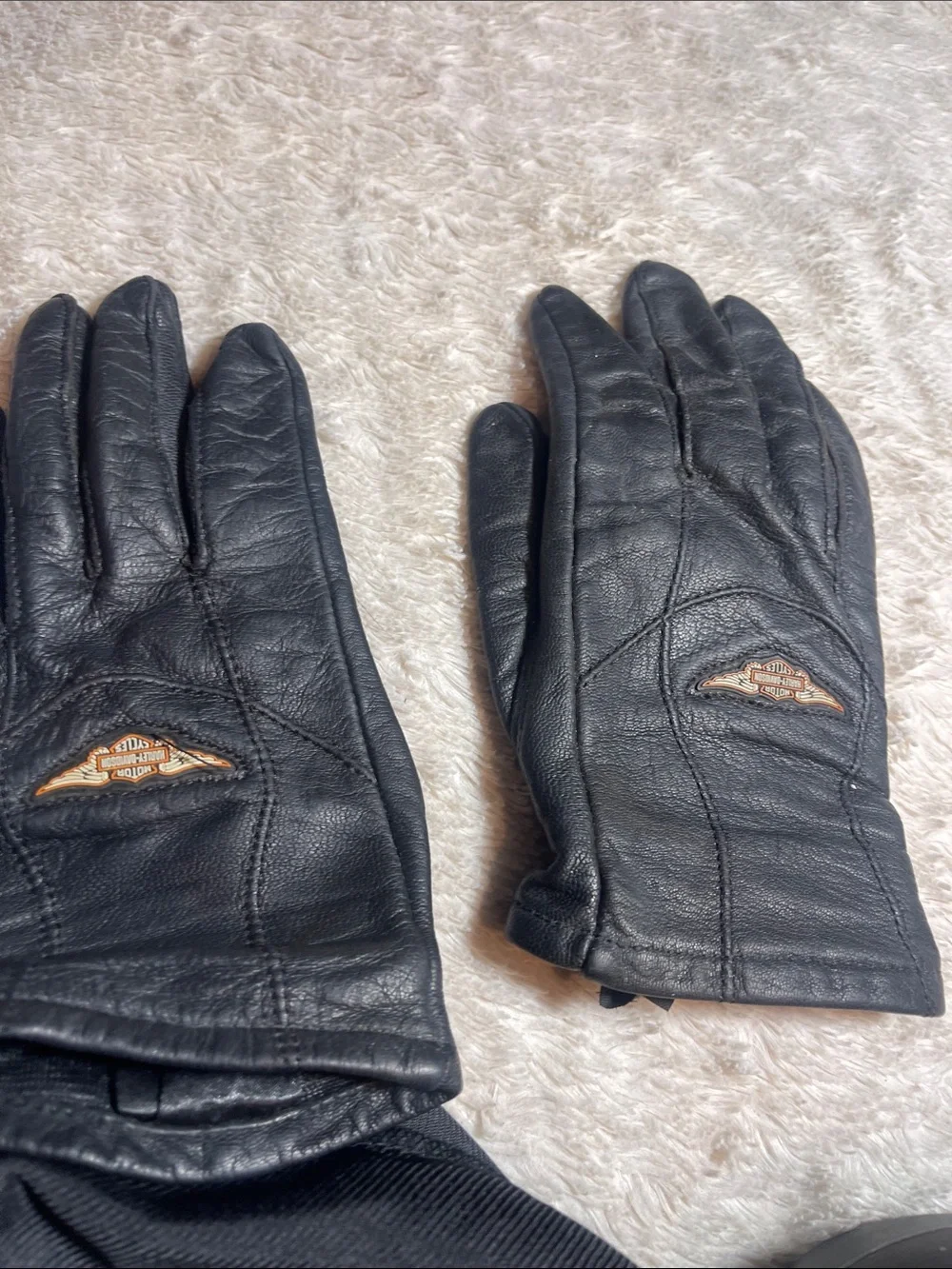 Harley-Davidson Black Logo Motorcycle Glove, helmet  cover , glasses case